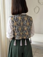 جلیقه زرین طوسی - تصویر 2